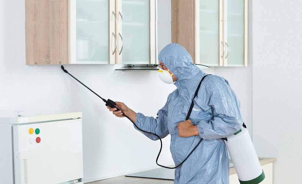 Cleaning companies ajman