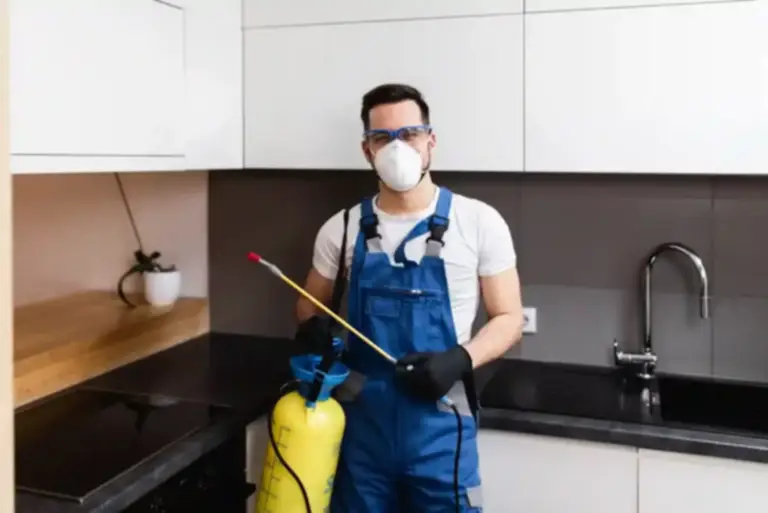 Pest Control Without Smell