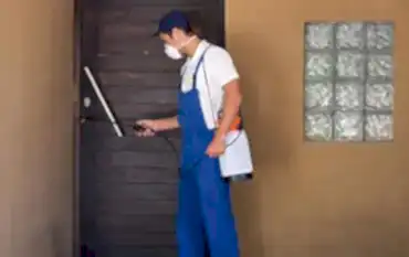 pest control services