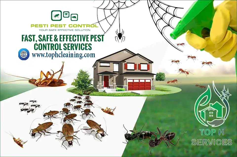 Fighting all kinds of insects