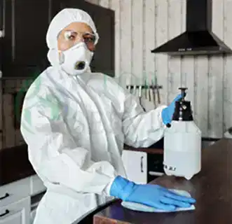Cleaning companies