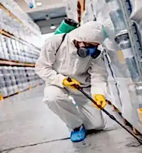pest control