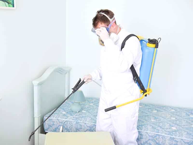 pest control without sme;; in Dubai