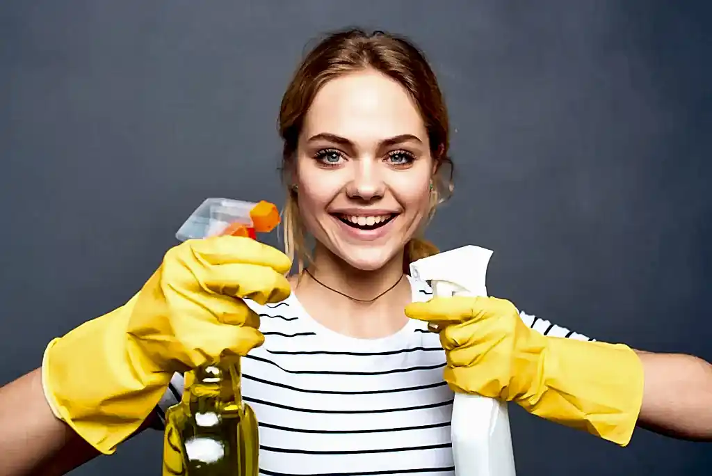 Maid Per Hour Service