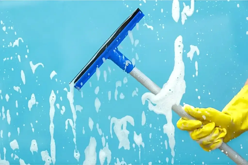 Window Cleaning Services