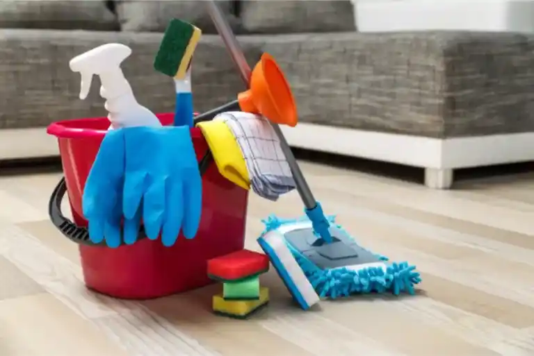 House cleaning services