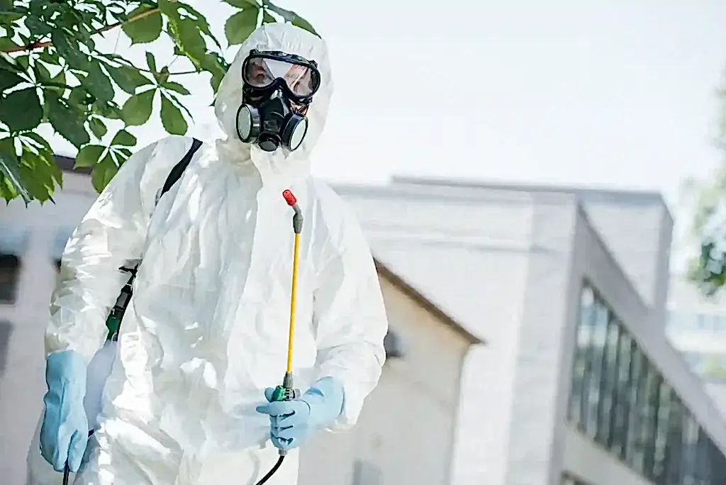 Pest Control Services