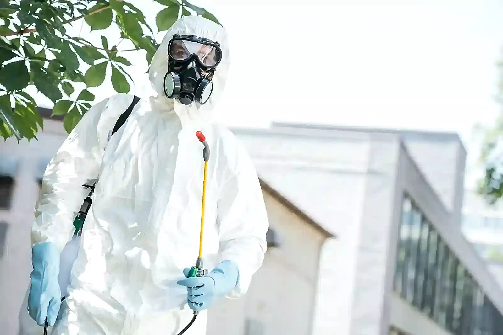Pest Control Services